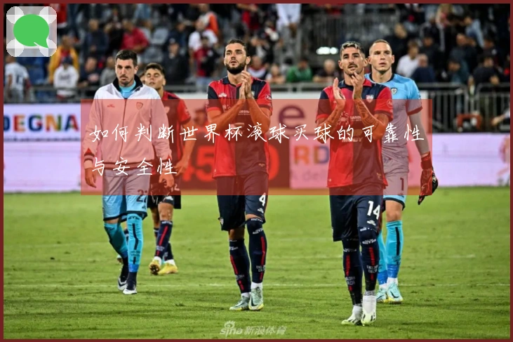 如何判断世界杯滚球买球的可靠性与安全性